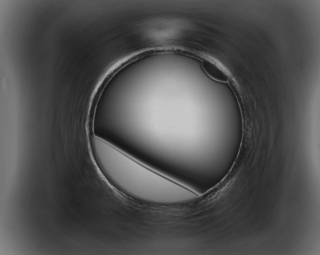 X0000086760943200704130811