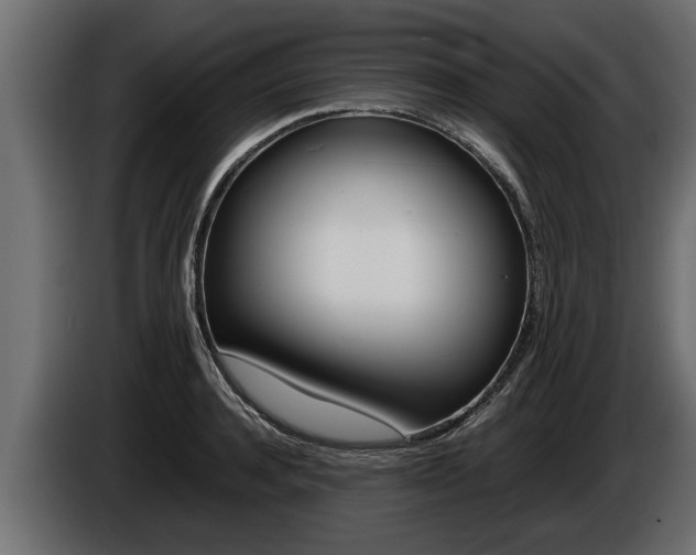 X0000086760944200704130811