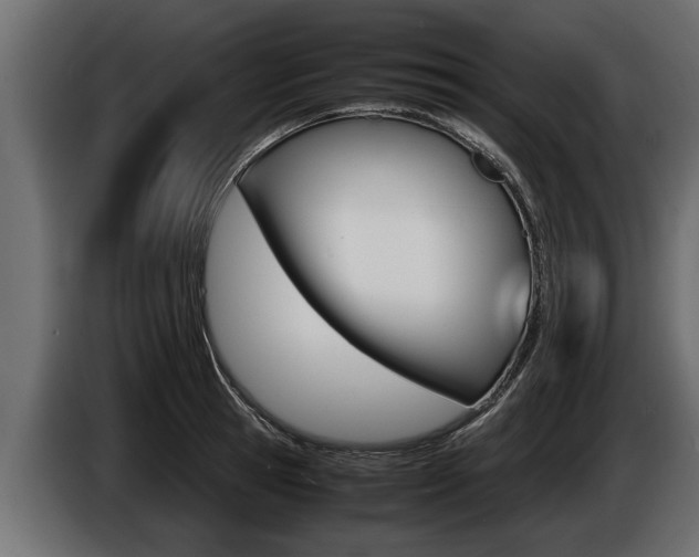 X0000086760945200704130811