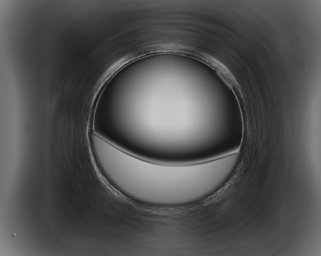X0000086760946200704130811