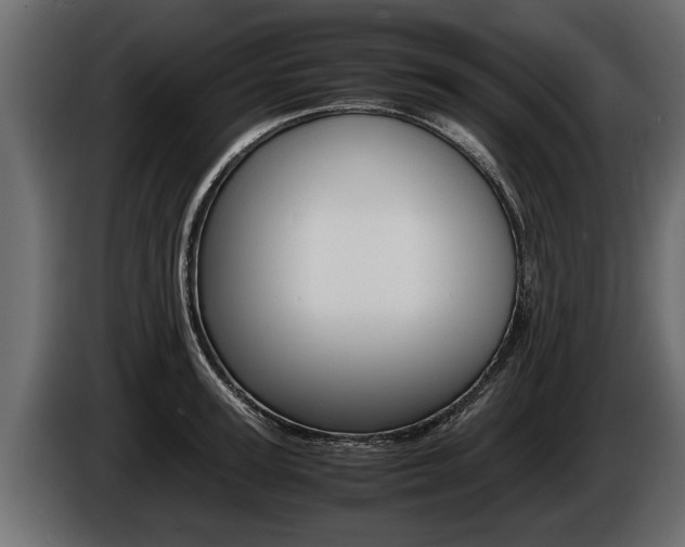 X0000086760947200704130811