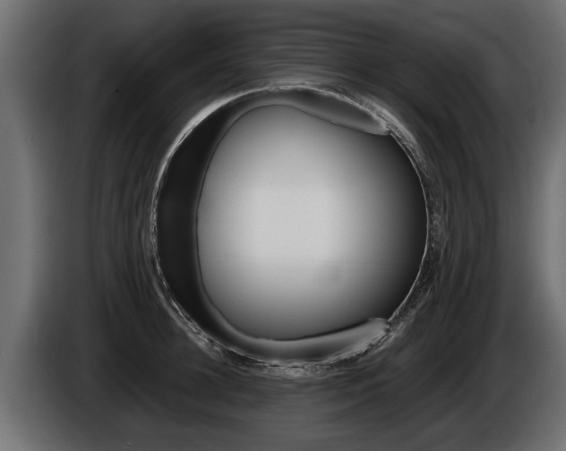 X0000086760948200704130811
