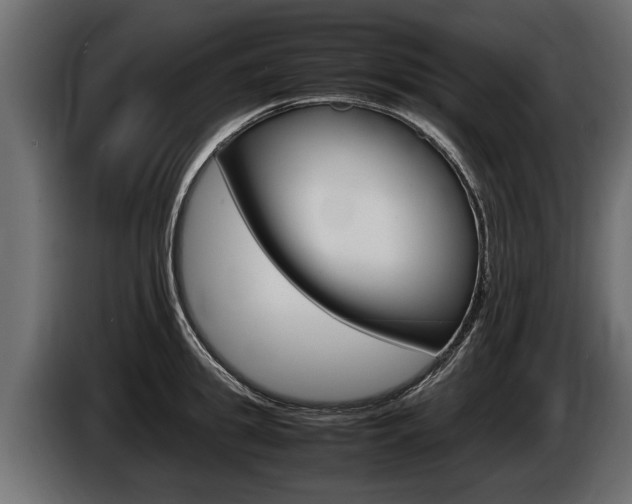 X0000086760949200704130811