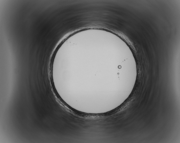 X0000086760950200704130811
