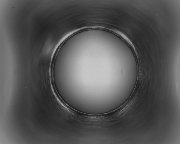 X0000086760951200704130811