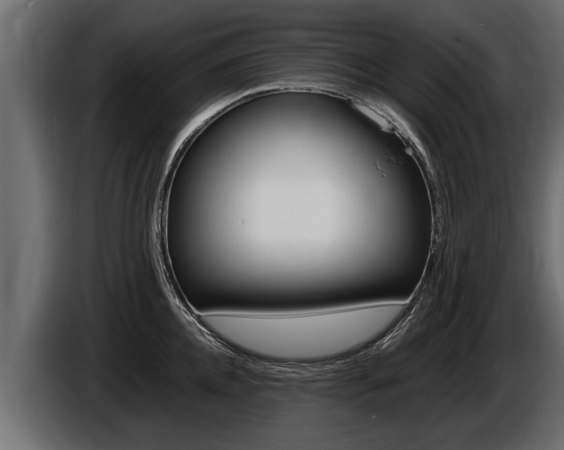 X0000086760952200704130811