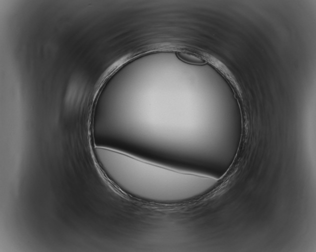 X0000086760954200704130811