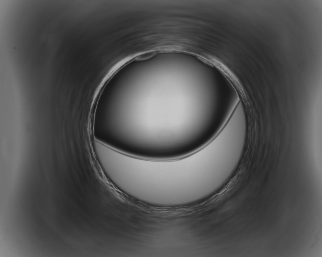 X0000086760956200704130811