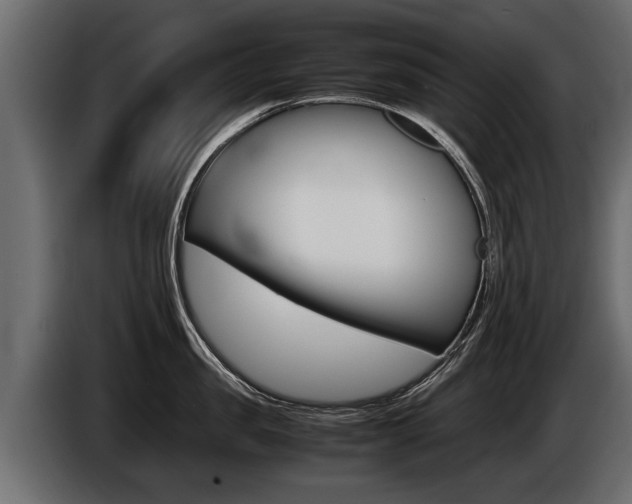 X0000086760957200704130811
