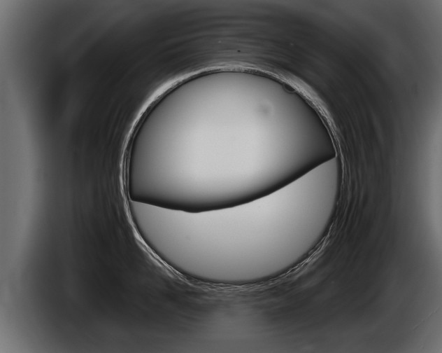X0000086760958200704130811