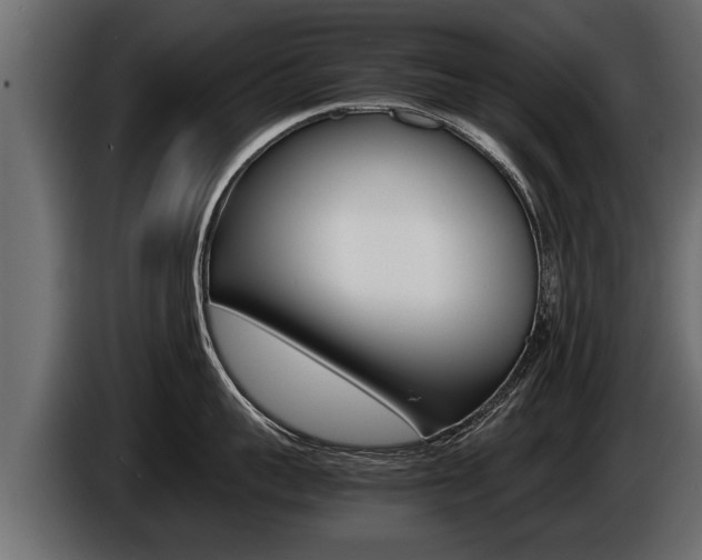 X0000086760959200704130811