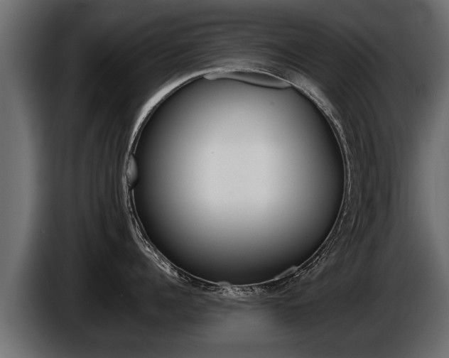 X0000086760960200704130811