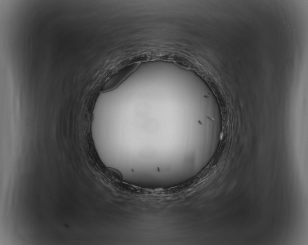 X0000086760961200704130811