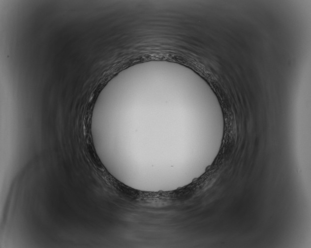 X0000086760962200704130811