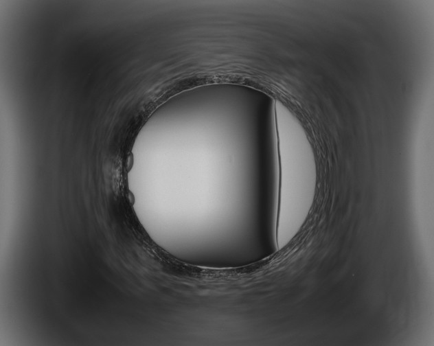X0000086760963200704130811