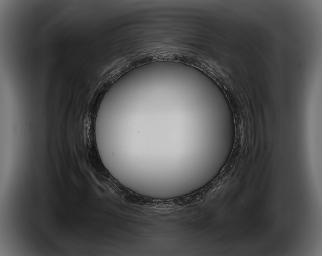 X0000086760964200704130811
