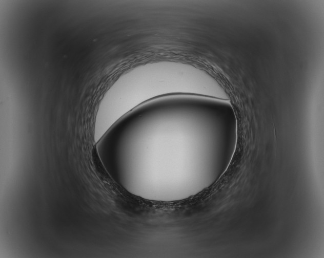 X0000086760965200704130811