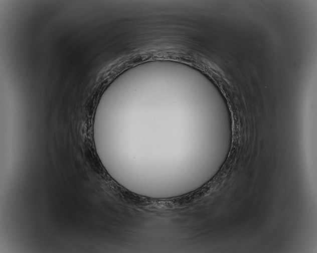 X0000086760966200704130811