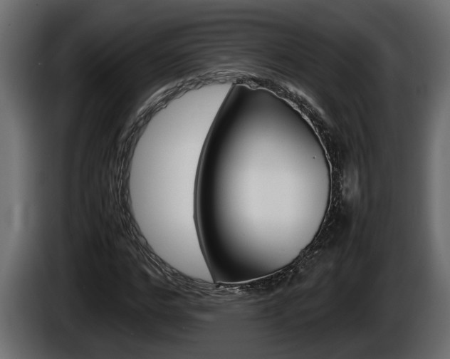 X0000086760968200704130811