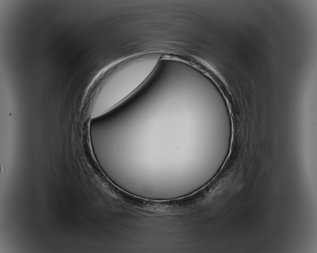X0000086760971200704130811