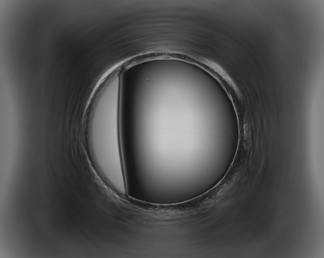 X0000086760972200704130811