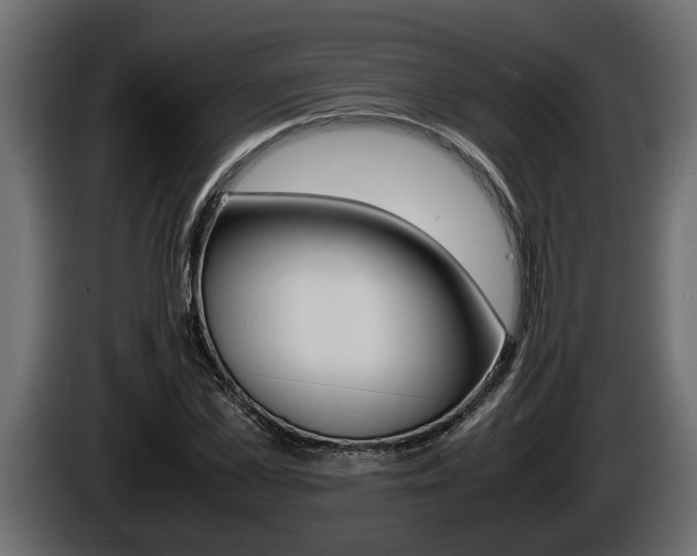 X0000086760973200704130811