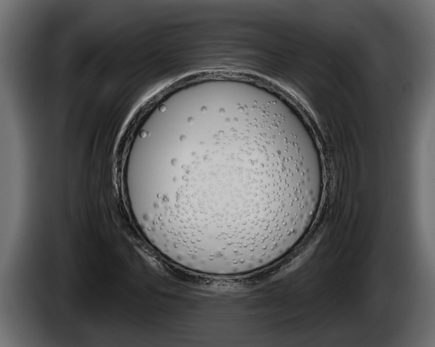 X0000086760974200704130811