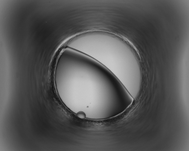 X0000086760975200704130811