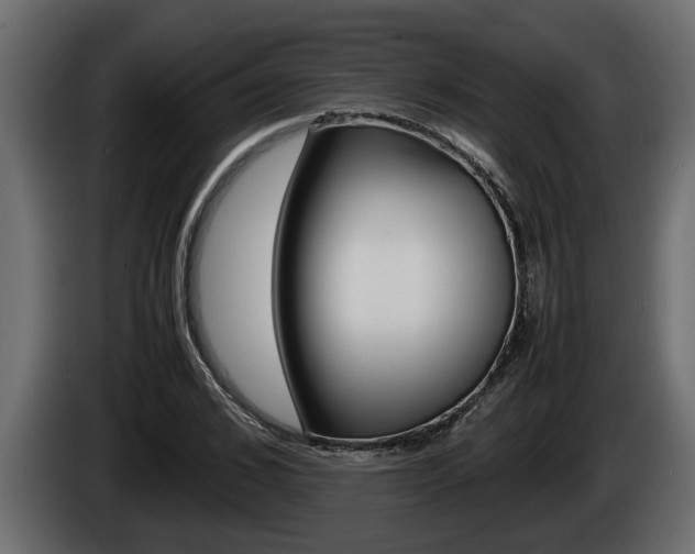 X0000086760976200704130811