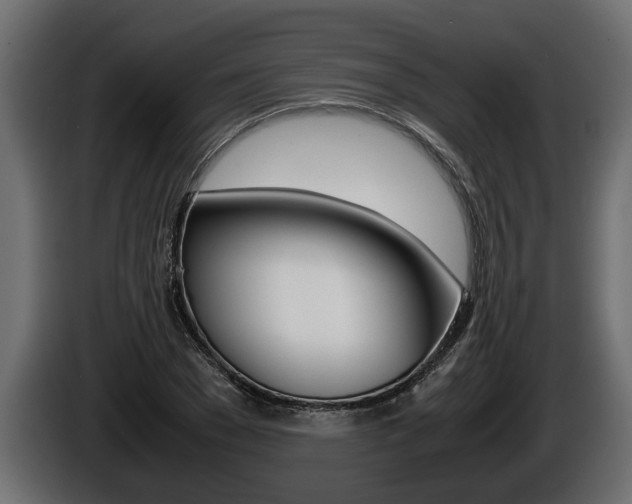 X0000086760977200704130811