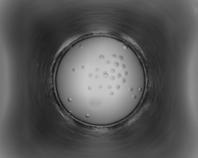 X0000086760978200704130811