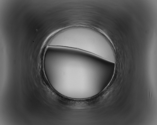 X0000086760979200704130811