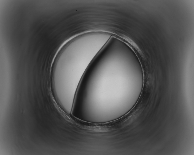 X0000086760980200704130811