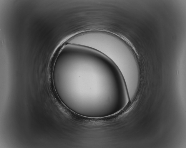 X0000086760981200704130811