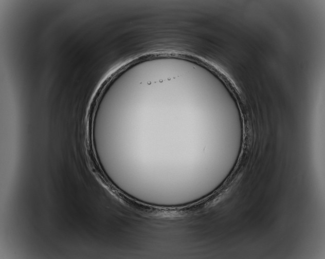 X0000086760982200704130811