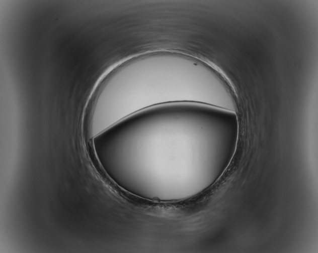 X0000086760983200704130810
