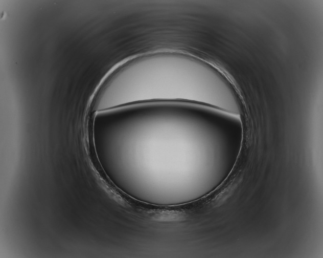 X0000086760984200704130810