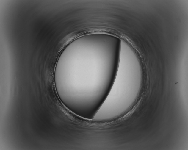 X0000086760985200704130810