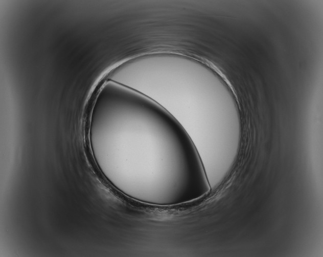 X0000086760987200704130810