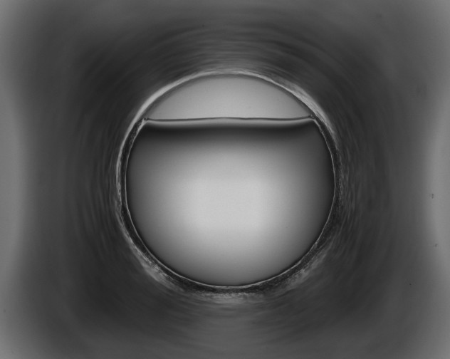 X0000086760988200704130810
