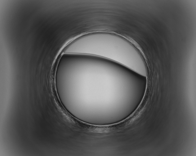 X0000086760989200704130810