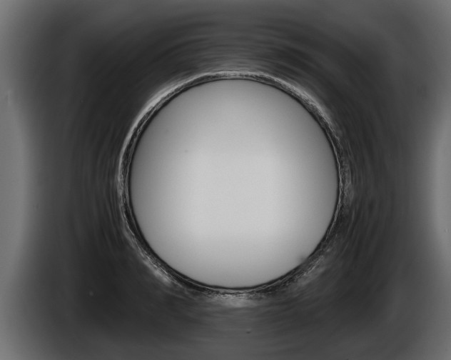 X0000086760990200704130810