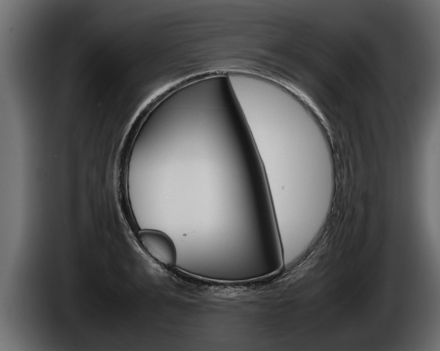 X0000086760991200704130810