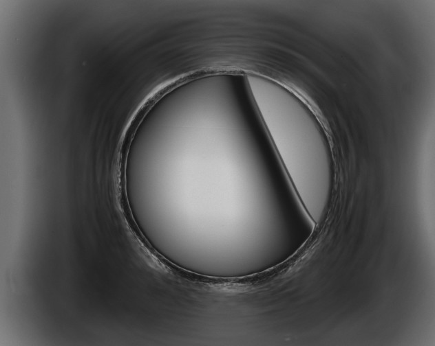 X0000086760992200704130810