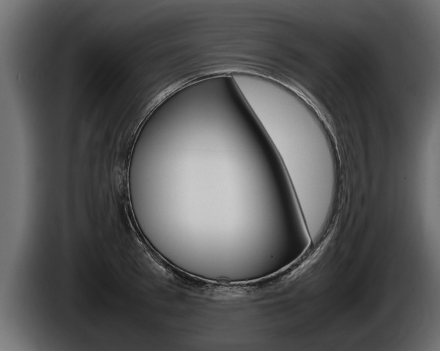 X0000086760993200704130810