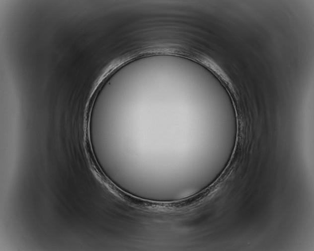 X0000086760994200704130810
