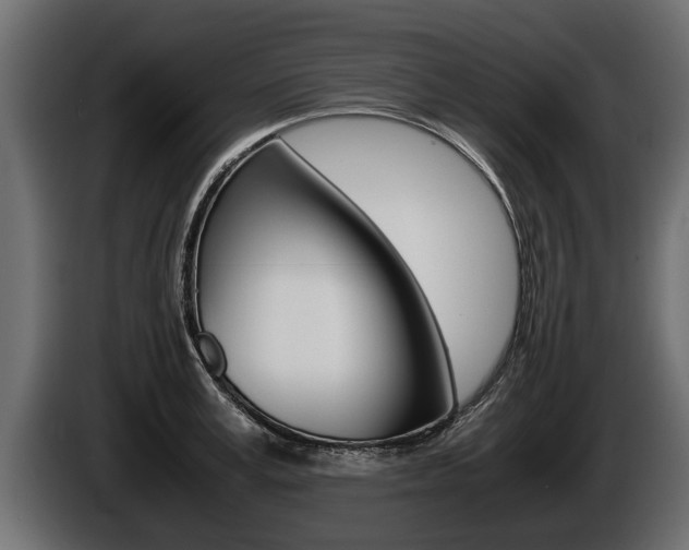 X0000086760995200704130810