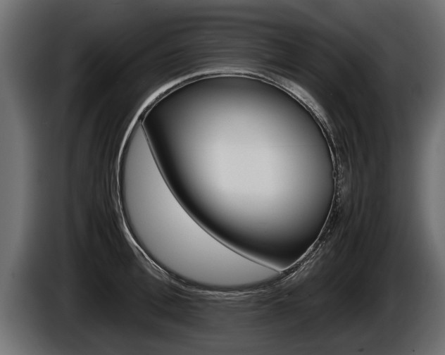 X0000086760996200704130810