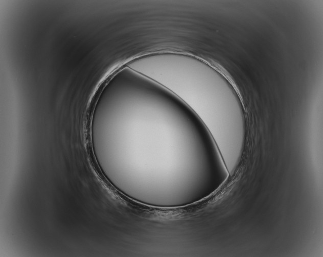 X0000086760997200704130810