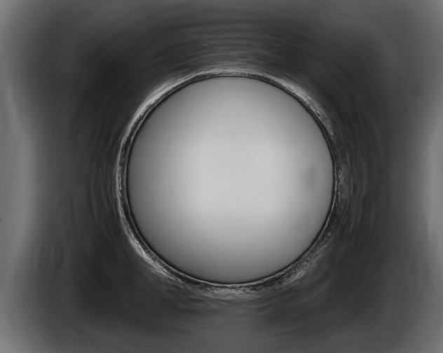 X0000086760998200704130810